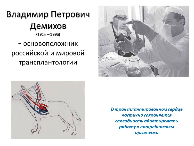 Владимир Петрович Демихов  (1916 – 1998)  - основоположник российской и мировой трансплантологии